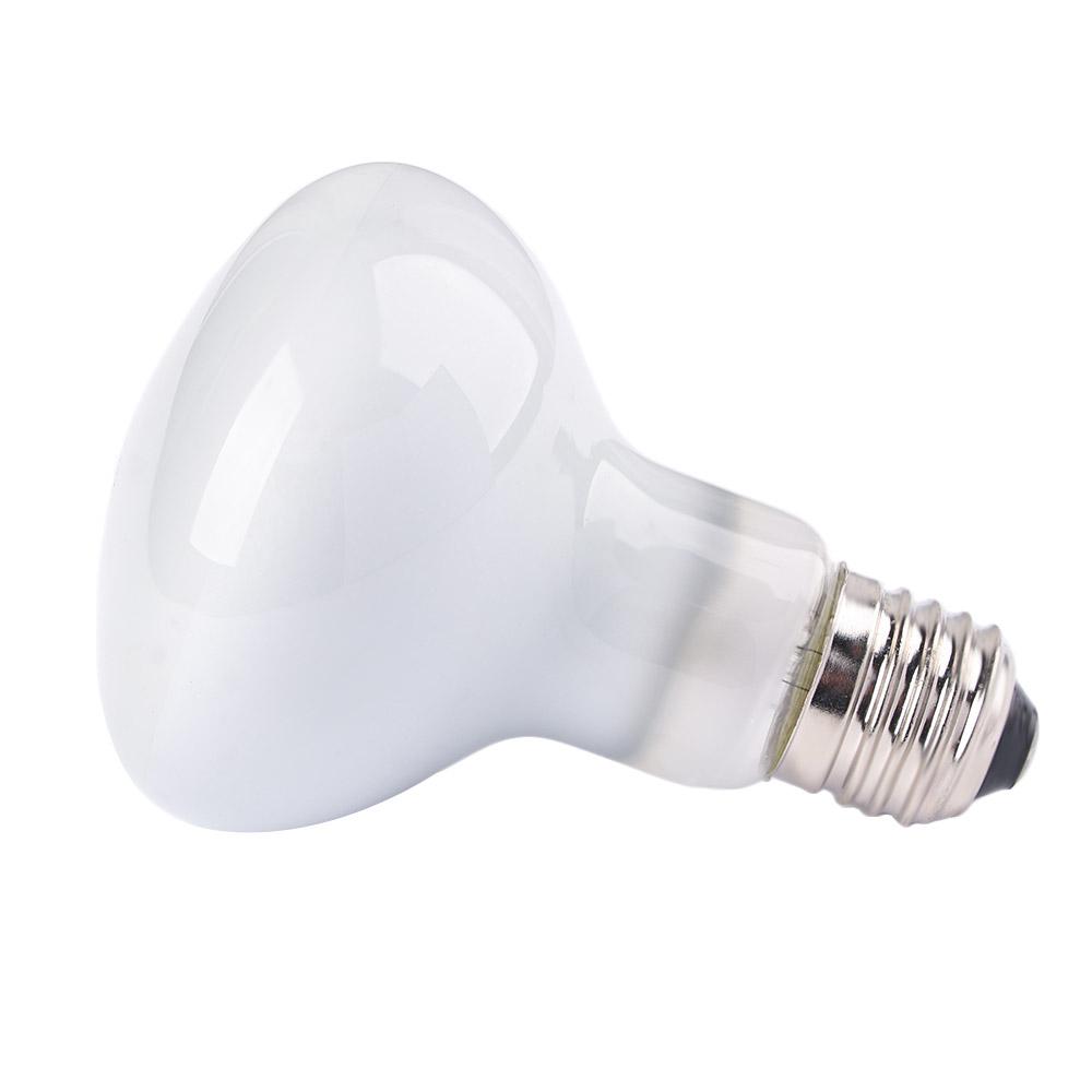 Basking Bulb Halogen - Controlador de Temperatura para Anfíbios, Aquecedor,