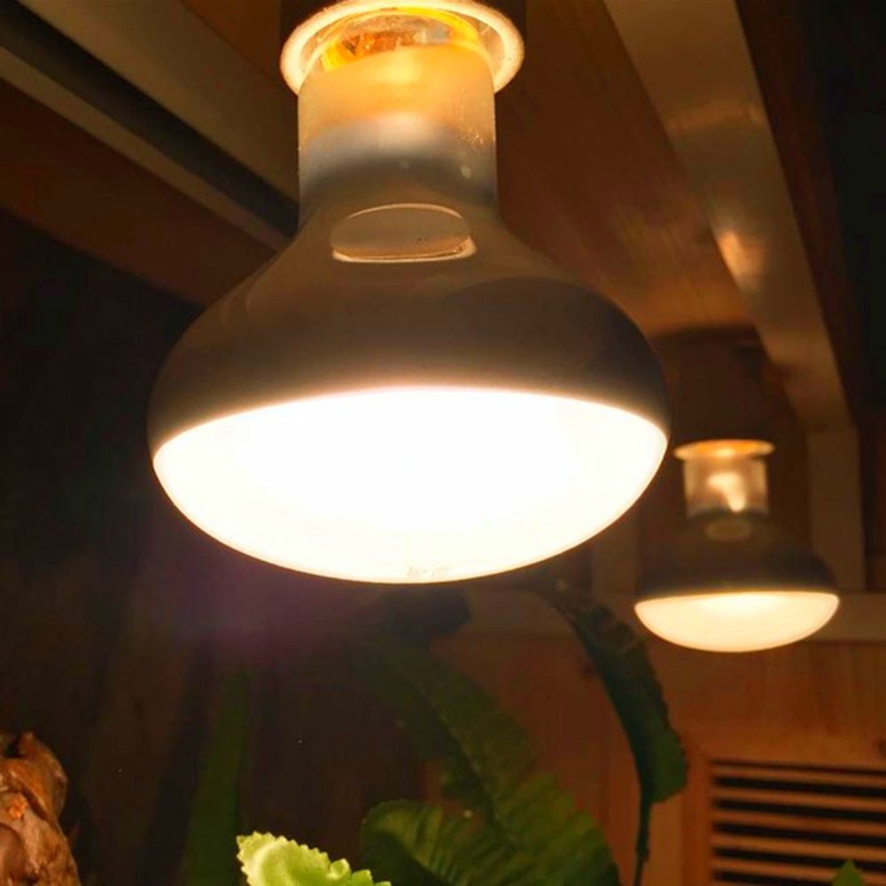 Basking Bulb Halogen - Controlador de temperatura de tartaruga lâmpada