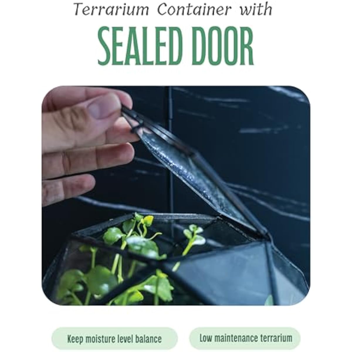 Terrário Esférico Geométrico c - Glass Door Hinge avaliação e preço