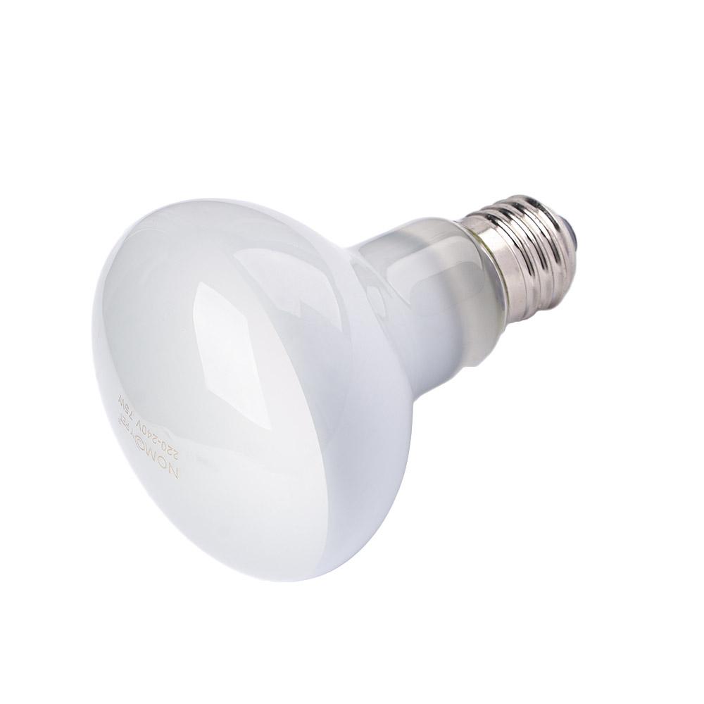 Lâmpada de Aquecimento para Ta - Basking Bulb Halogen avaliação e preço