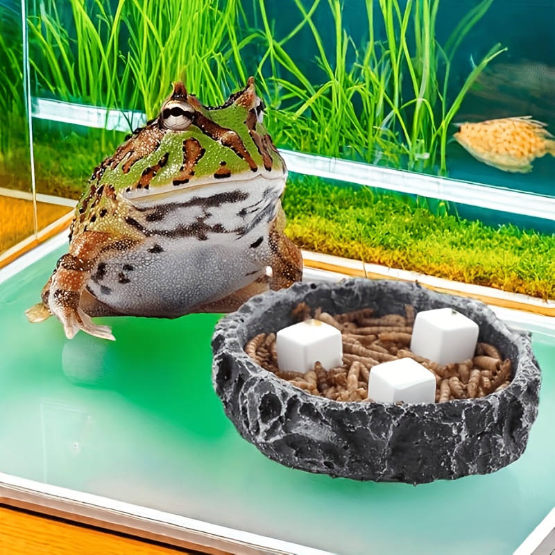 6 Peças de Blocos de Cálcio pa - Calcium Powder Reptile avaliação e preço