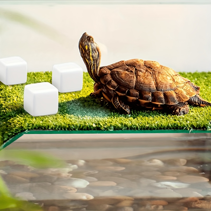 6 Peças de Blocos de Cálcio pa - Calcium Powder Reptile avaliação e preço